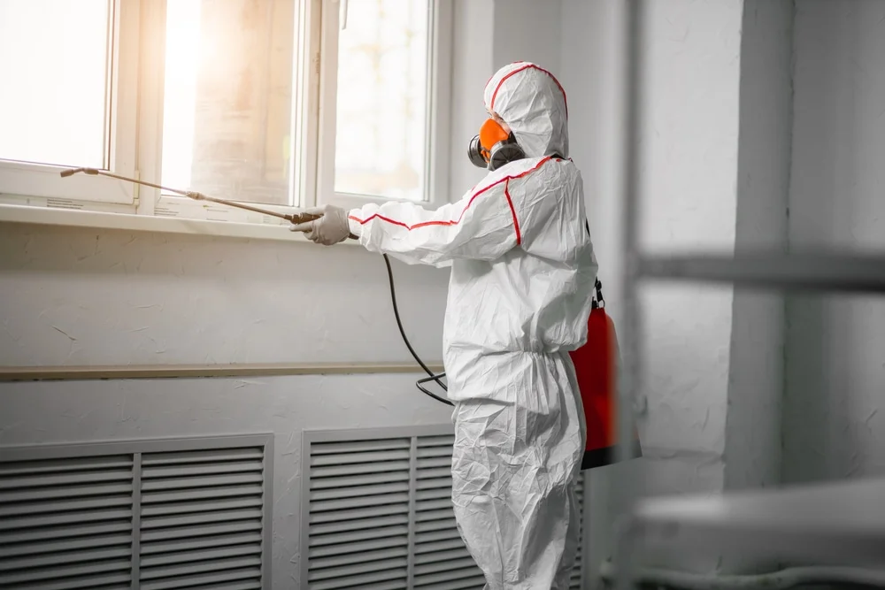 Professional mold remediation services in Wonalancet, NH